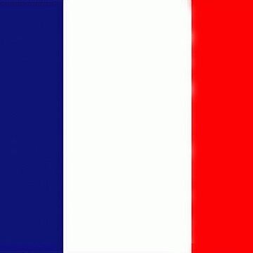 Aperçu de l'œuvre Drapeau France Logo de Robin-