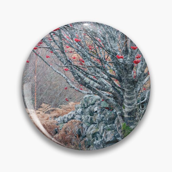 Item preview, Rowan Tree in late Autumn designed and sold by AnitaNicholson.