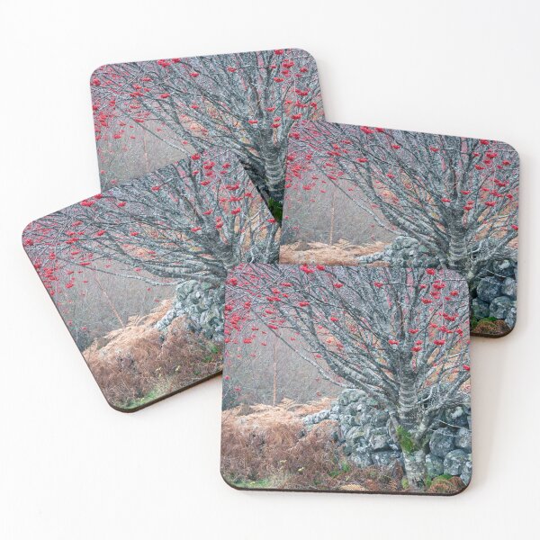 Item preview, Rowan Tree in late Autumn designed and sold by AnitaNicholson.