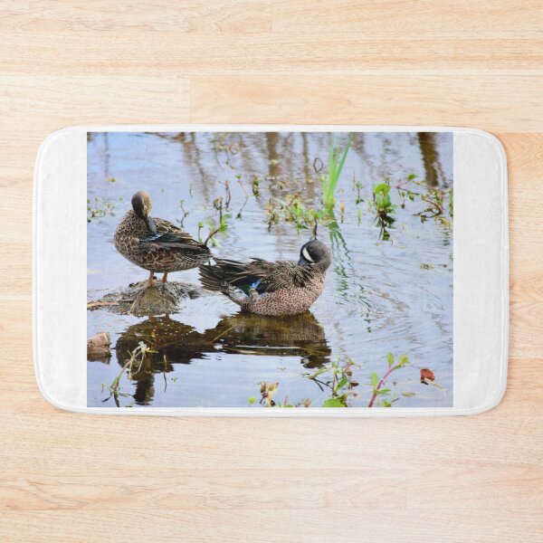 Item preview, Orlando Wetlands Park Blue-Winged Teal designed and sold by MercerImages.