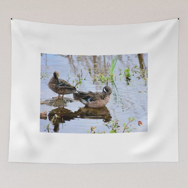 Item preview, Orlando Wetlands Park Blue-Winged Teal designed and sold by MercerImages.