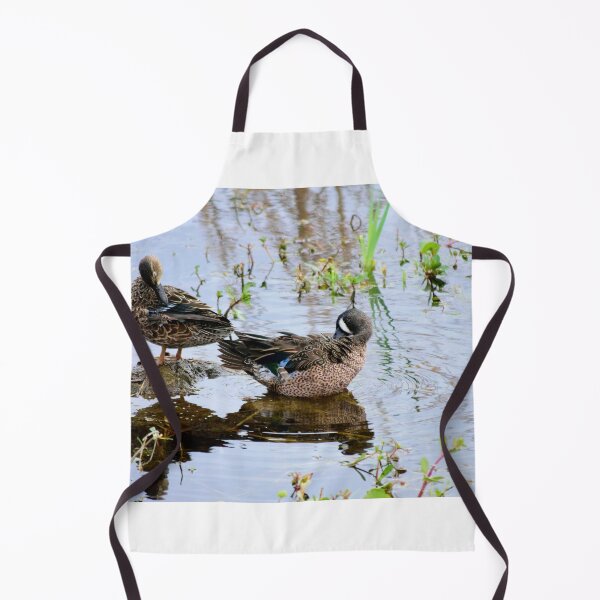 Item preview, Orlando Wetlands Park Blue-Winged Teal designed and sold by MercerImages.