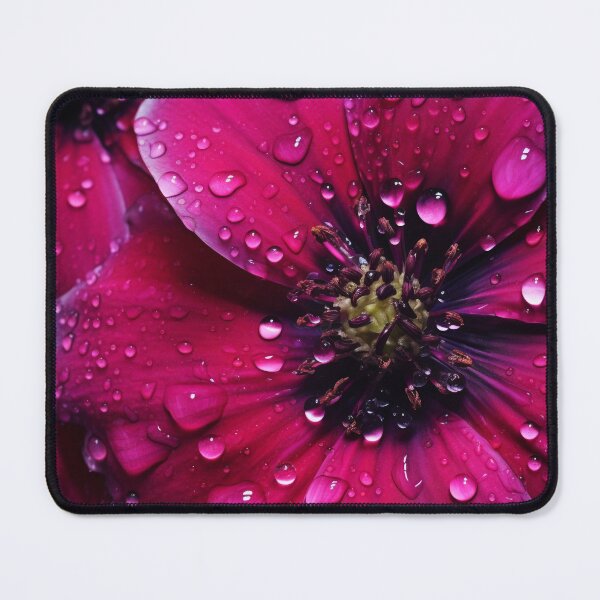 Item preview, Purple flowers with dewdrops macro photo designed and sold by TheArtistOf2022.