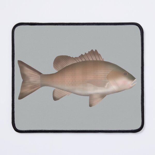 Item preview, Mangrove Jack designed and sold by fishfolkart.