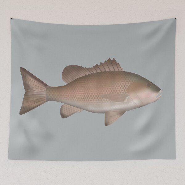 Item preview, Mangrove Jack designed and sold by fishfolkart.