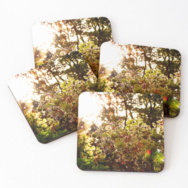 Item preview, Idyllwild - Pine Cove designed and sold by supernova23.