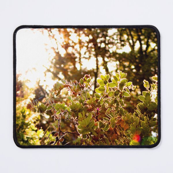 Item preview, Idyllwild - Pine Cove designed and sold by supernova23.