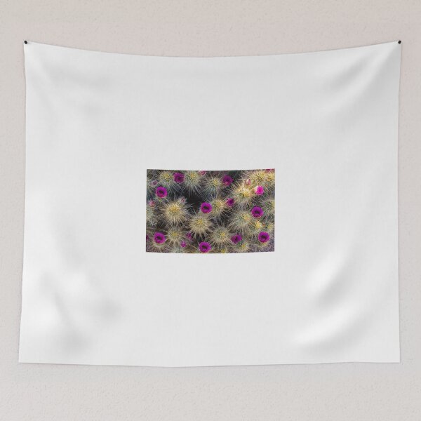 Item preview, Blooming Cactus designed and sold by BGSPhoto.