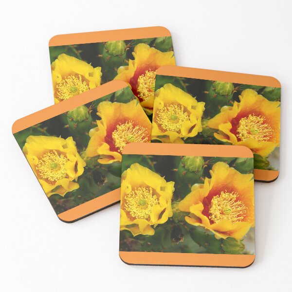 Item preview, Cactus flower. designed and sold by manoloshoping.
