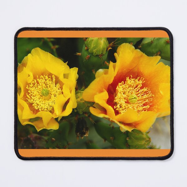 Item preview, Cactus flower. designed and sold by manoloshoping.
