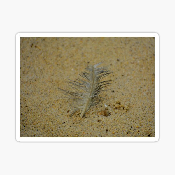 Item preview, Feather in the sand designed and sold by Tonia Delozier's Photography .
