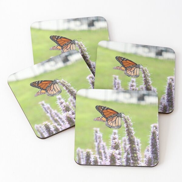 Aperçu de l'œuvre Papillon monarque 1 créée et vendue par Artparginger.