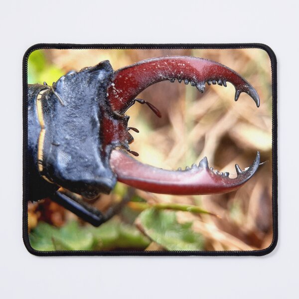 Item preview, Male Stag Beetle Series (2) designed and sold by carotulu.