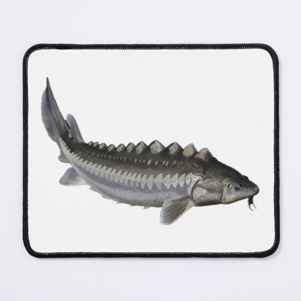 Item preview, Sturgeon designed and sold by Aubree Parkinson.