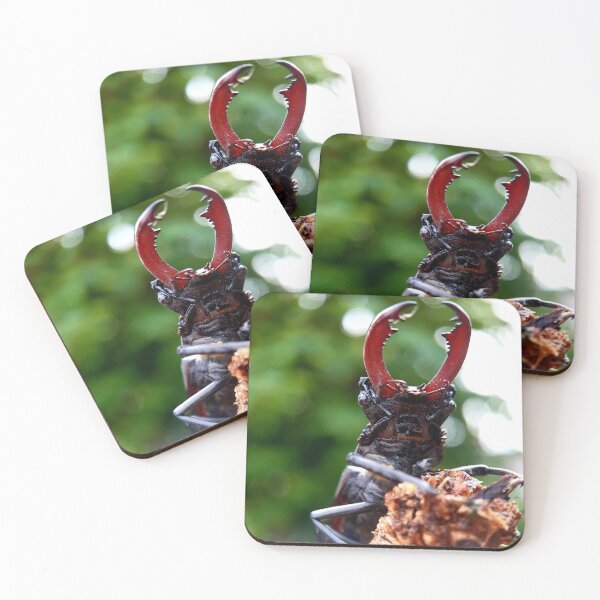 Item preview, Male Stag Beetle Series (1) designed and sold by carotulu.