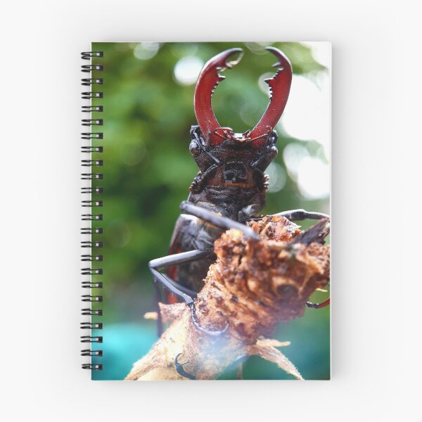 Item preview, Male Stag Beetle Series (1) designed and sold by carotulu.