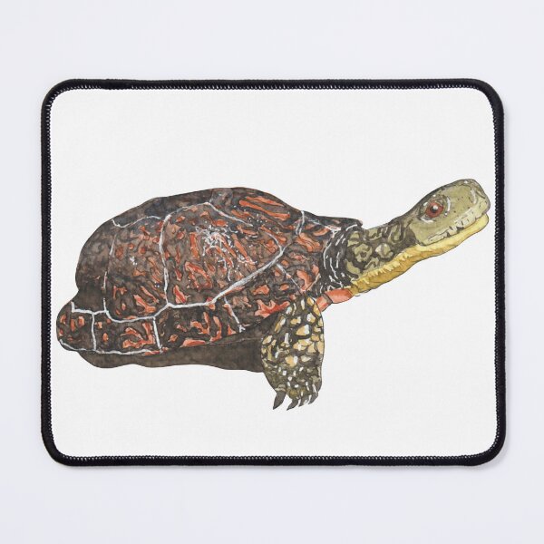 Item preview, Blanding’s Turtle designed and sold by RustyHen.