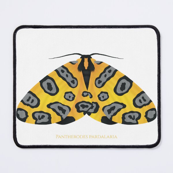 Item preview, Pantherodes pardalaria designed and sold by swiatek.