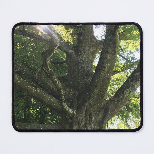 Item preview, The Climbing Tree designed and sold by Intr3pidSticker.