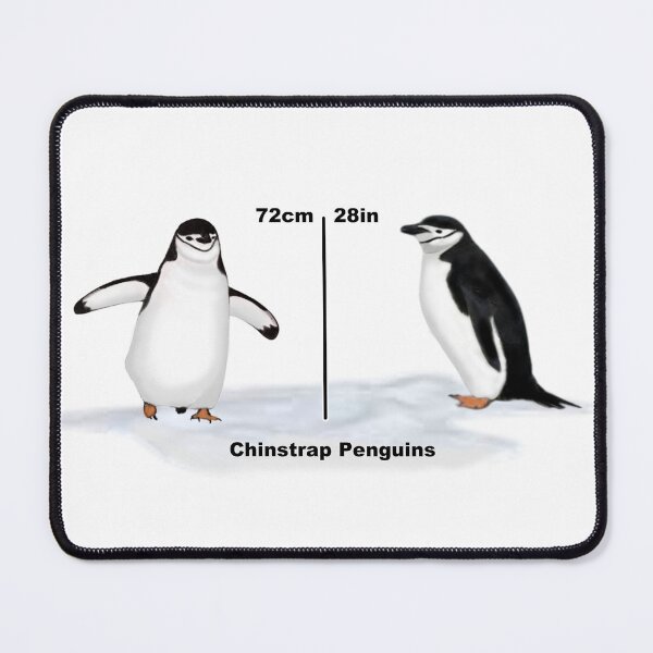 Item preview, Chinstrap Penguin Height designed and sold by ArtAndBliss.