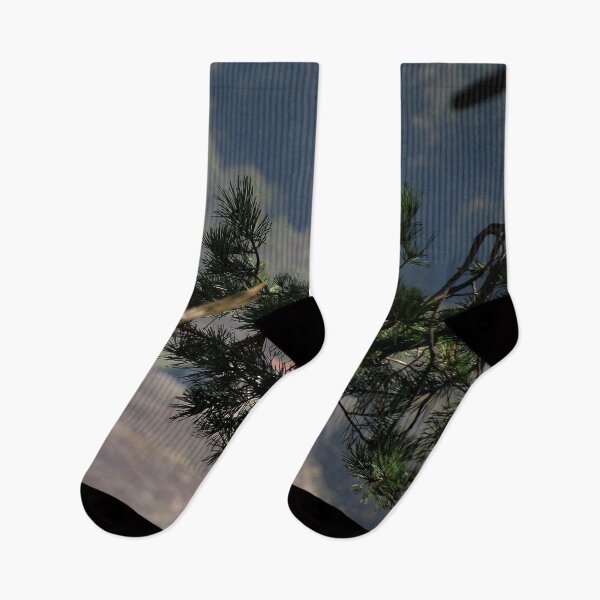 Item preview, Pine Branch Close Up designed and sold by Quoppidou.