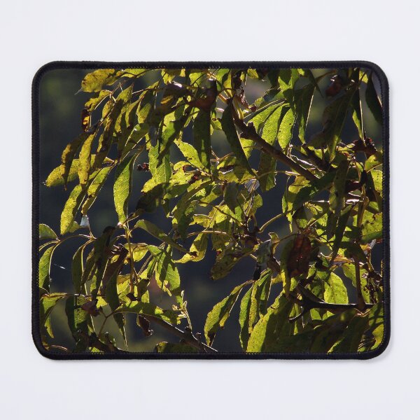 Item preview, Green Autumn Leaves designed and sold by Quoppidou.