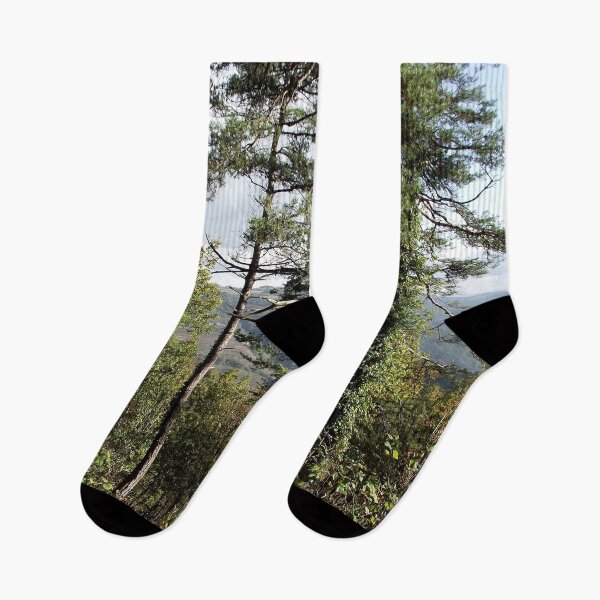 Item preview, Pines Woods Landscape designed and sold by Quoppidou.