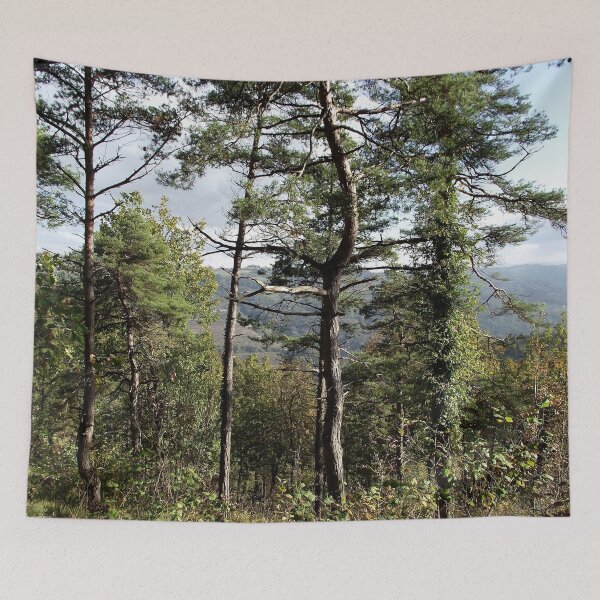 Item preview, Pines Woods Landscape designed and sold by Quoppidou.
