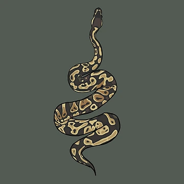 Artwork thumbnail, Ball Python  by Sierra Wright