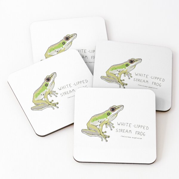 Item preview, White-lipped Stream Frog (Chalcorana megalonesa) designed and sold by HanShapsDesigns.