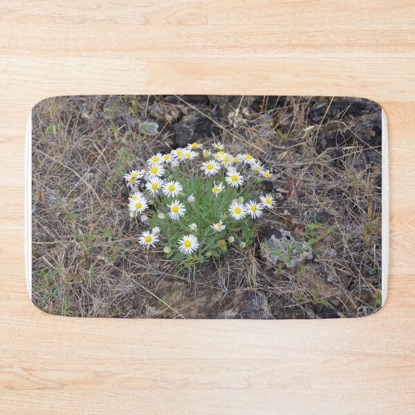 Item preview, Purple Cushion Fleabane in Eastern Washington designed and sold by The Botanical Jason.