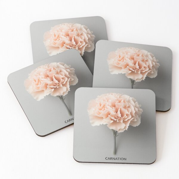 Item preview, Carnation designed and sold by Retro Travel Design.