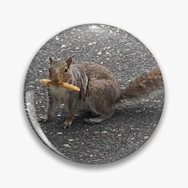 Item preview, Squirrel fry meme designed and sold by TheCutesyDoodle.