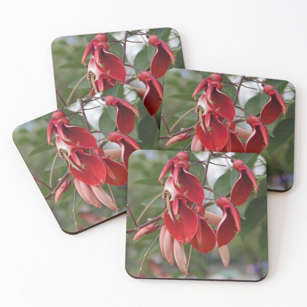 Item preview, Cockspur Coral Tree In Baguio City, Philippines designed and sold by The Botanical Jason.