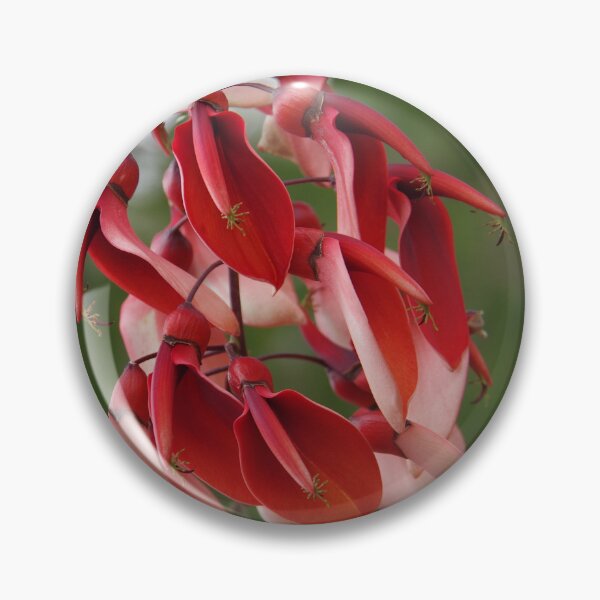 Item preview, Cockspur Coral Tree In Baguio City, Philippines designed and sold by The Botanical Jason.