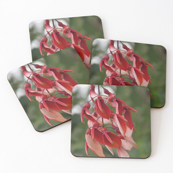 Item preview, Cockspur Coral Tree In Baguio City, Philippines designed and sold by The Botanical Jason.
