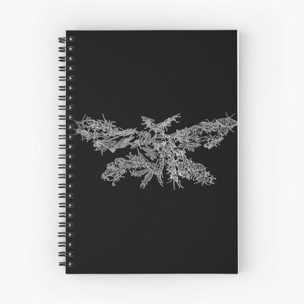 Item preview, Hexapoda - Insects - White and Black - Evolution designed and sold by EvolutionPoster.