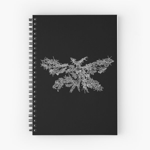 Item preview, Hexapoda - Insects - White and Black - Evolution designed and sold by EvolutionPoster.