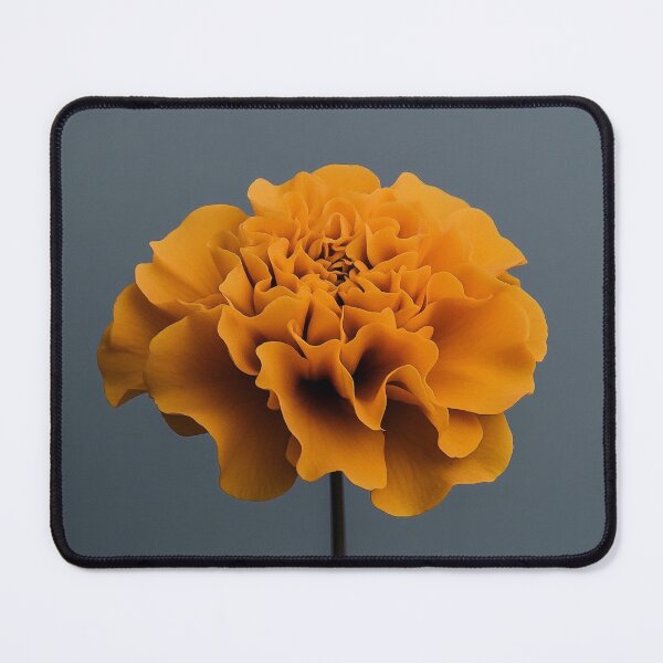 Item preview, Marigold designed and sold by Retro Travel Design.