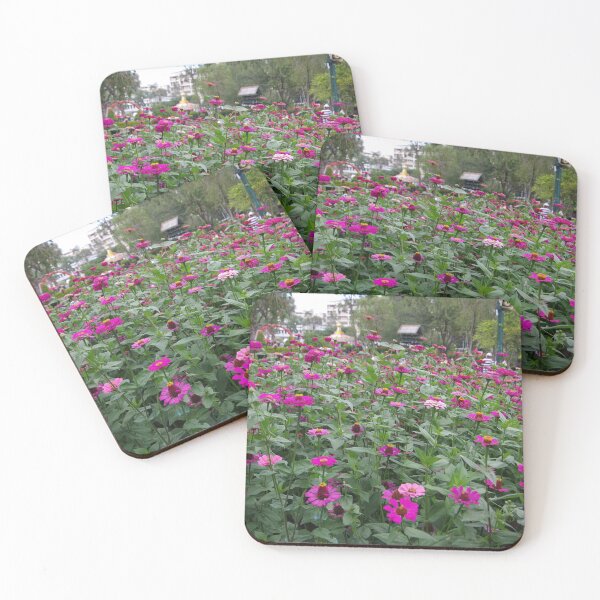 Item preview, Zinnias Growing in Baguio City Philippines designed and sold by The Botanical Jason.