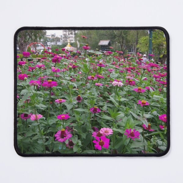 Item preview, Zinnias Growing in Baguio City Philippines designed and sold by The Botanical Jason.