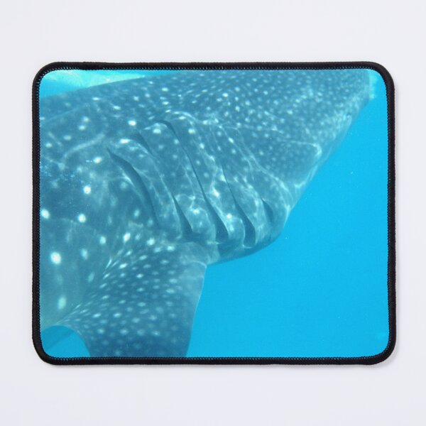 Item preview, Whale Shark in Oslob Cebu Philippines designed and sold by The Botanical Jason.