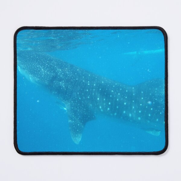 Item preview, Whale Shark in Oslob Cebu Philippines designed and sold by The Botanical Jason.