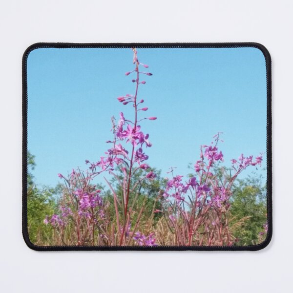 Item preview, Alaska Fireweed (Color) designed and sold by OrangeSpaceNewt.