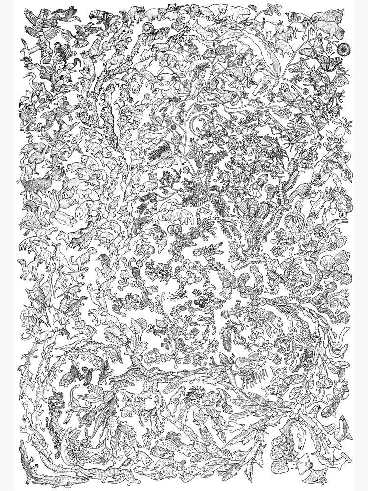 Tree of Life - Animal Evolution - Black and White by EvolutionPoster