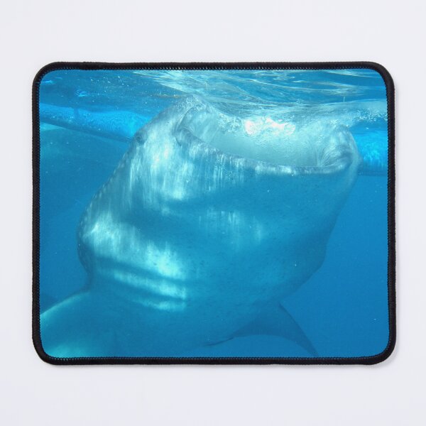 Item preview, Whale Shark in Oslob Cebu Philippines designed and sold by The Botanical Jason.