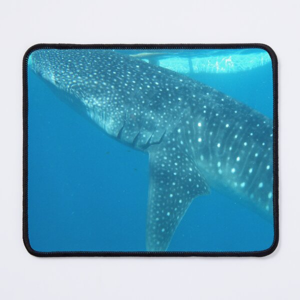 Item preview, Whale Shark in Oslob Cebu Philippines designed and sold by The Botanical Jason.