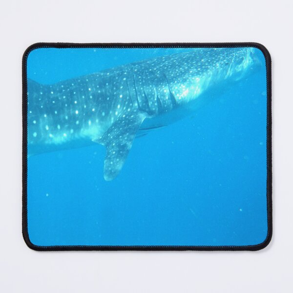 Item preview, Whale Shark in Oslob Cebu Philippines designed and sold by The Botanical Jason.