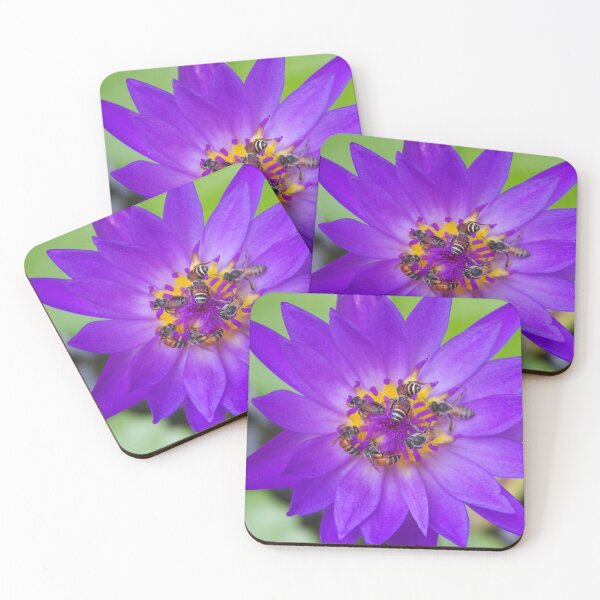Item preview, Bees Pollinating a Waterlily in Bangkok Thailand designed and sold by The Botanical Jason.
