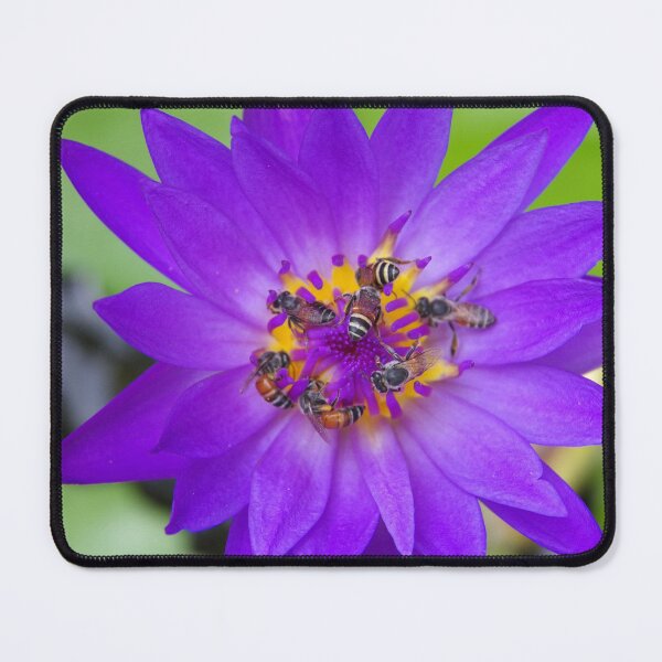 Item preview, Bees Pollinating a Waterlily in Bangkok Thailand designed and sold by The Botanical Jason.